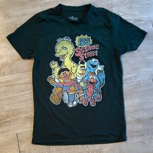Sesame Street Character Forest Green T Shirt Women’s Size Small Ptp 19”